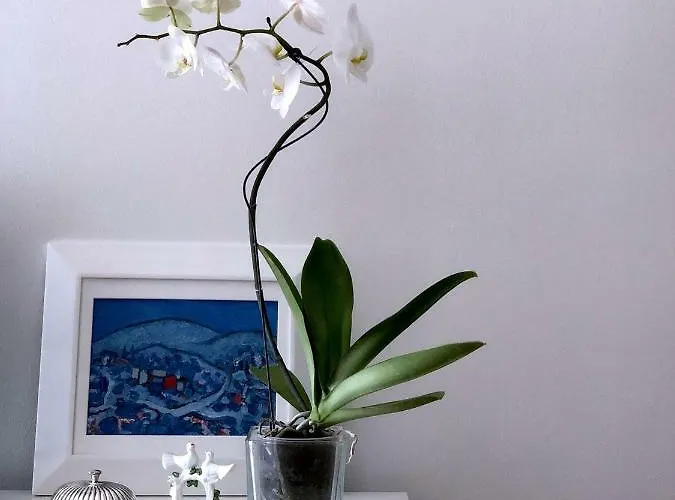 Διαμέρισμα Marija